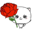 n_w_foru